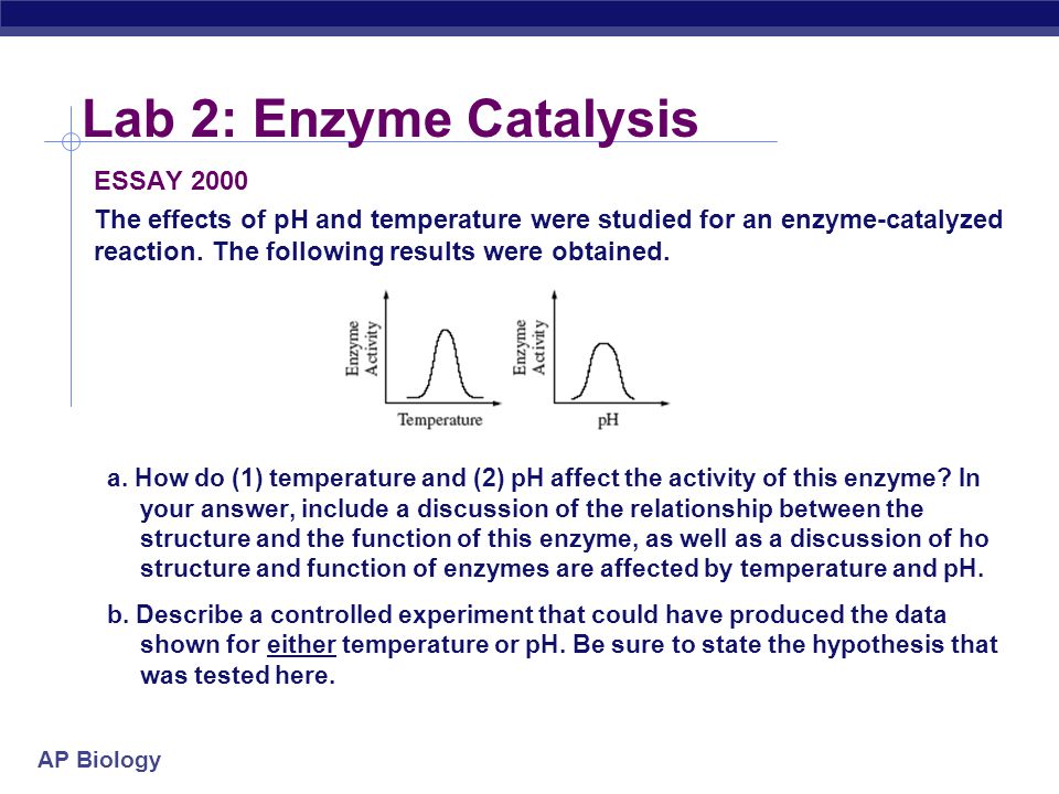 An Investigation into the Effect of Varying pH on Enzyme Activity Essay